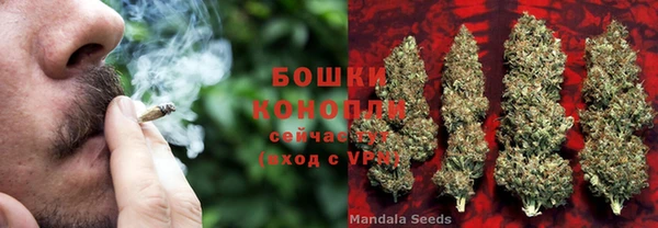 ПСИЛОЦИБИНОВЫЕ ГРИБЫ Алексин