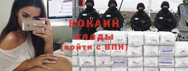 ПСИЛОЦИБИНОВЫЕ ГРИБЫ Алексин