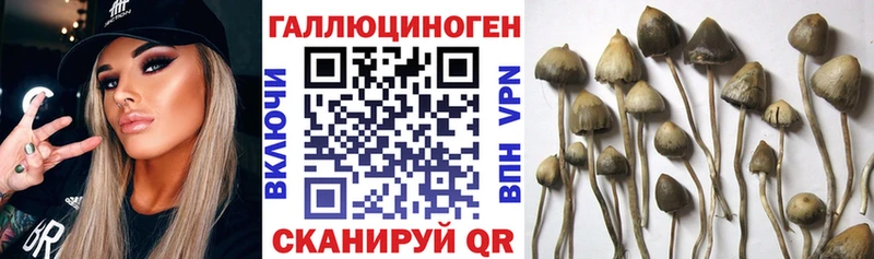 Галлюциногенные грибы ЛСД  KRAKEN ссылки  Биробиджан 