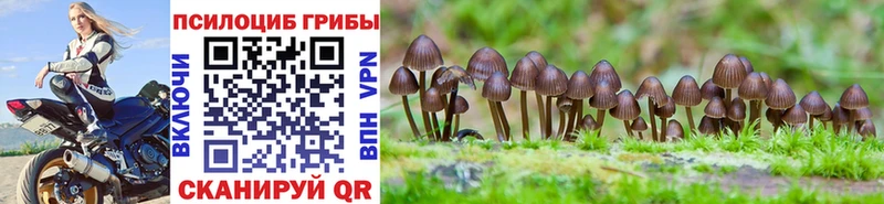 Галлюциногенные грибы Magic Shrooms Биробиджан
